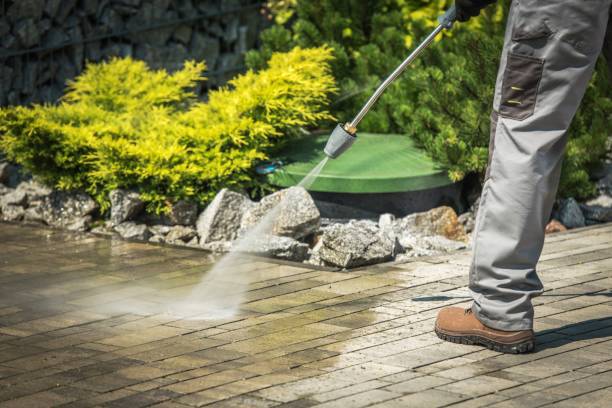 Best Gutter Cleaning and Brightening in Elk River, MN