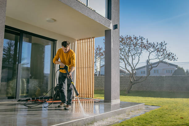 Best Roof Cleaning and Mildew Removal in Elk River, MN